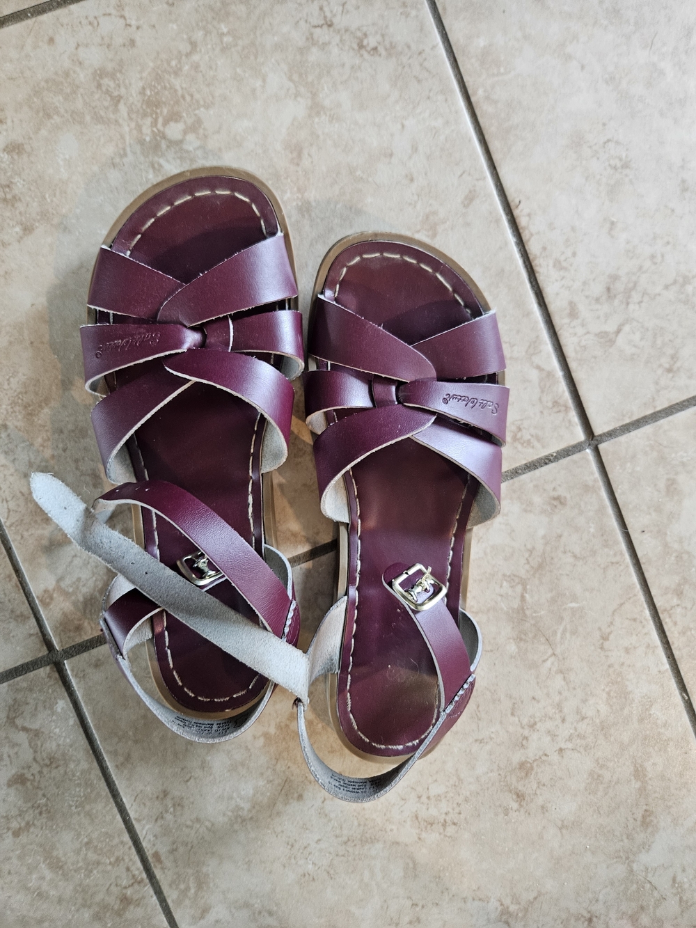 Salt Water Sandals by Hoy Women's Burgundy Leather Strappy Sandals